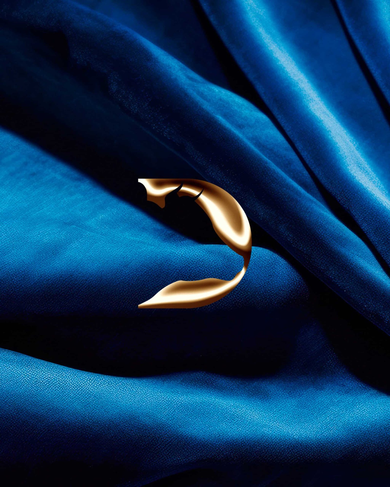 LA VACA DORADA REDES-01