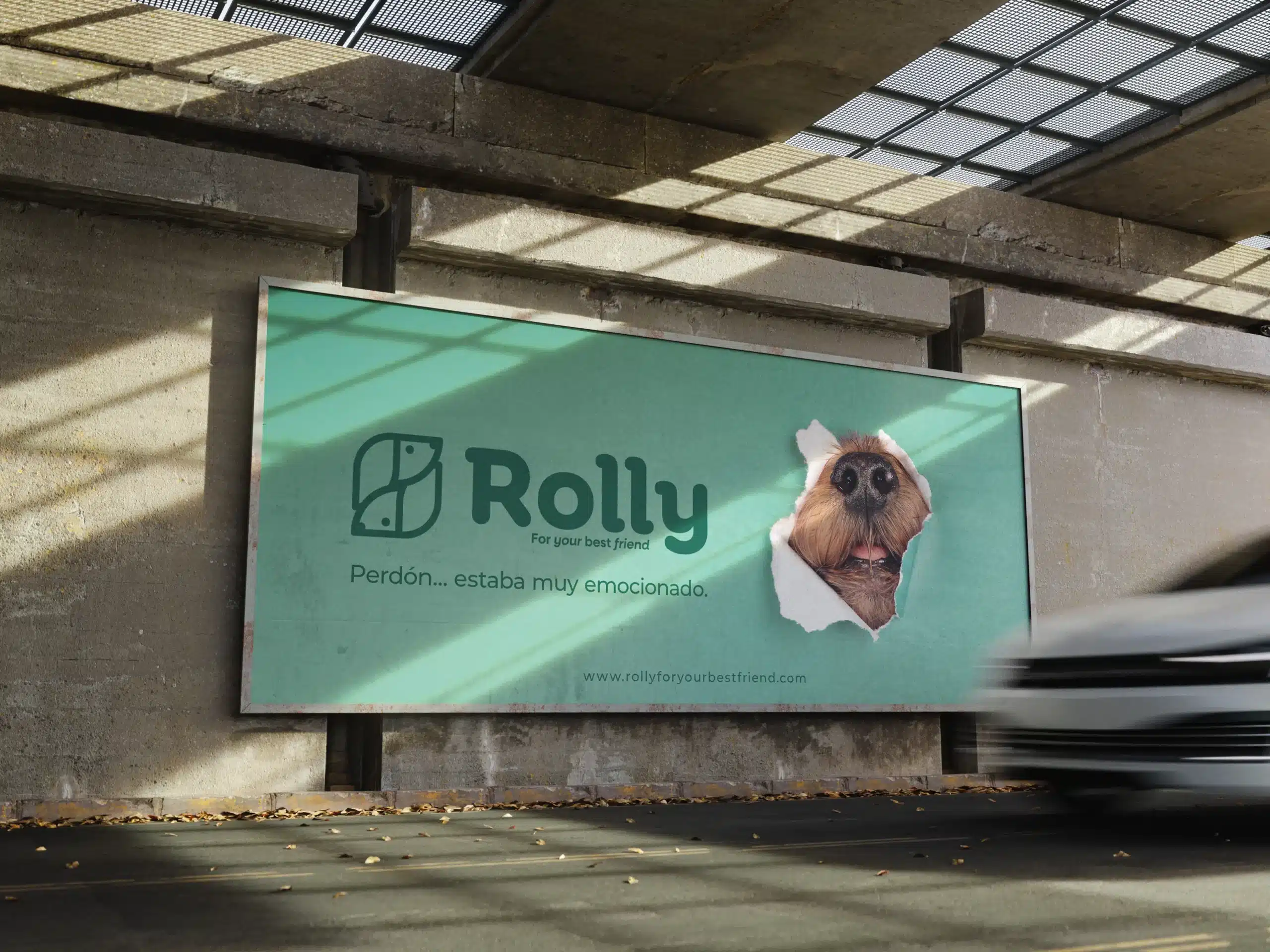 ROLLY 4