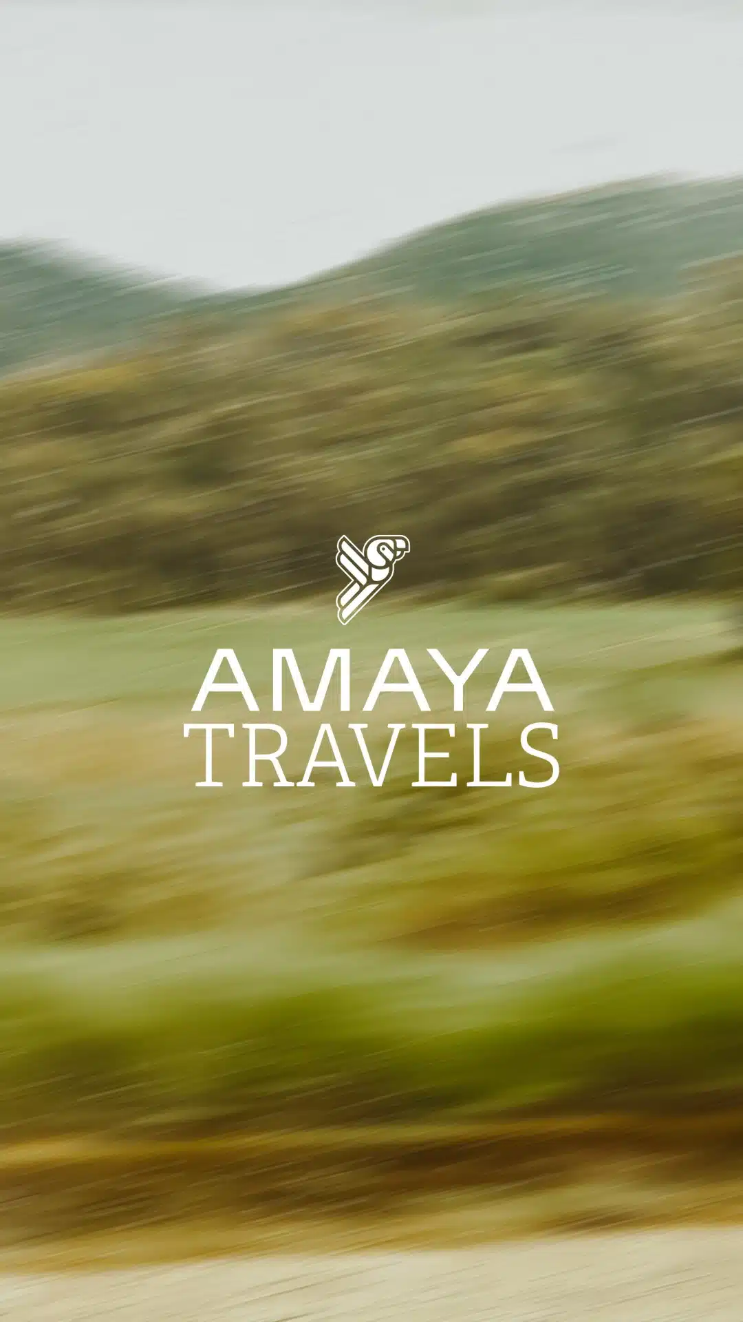 AMAYA 1