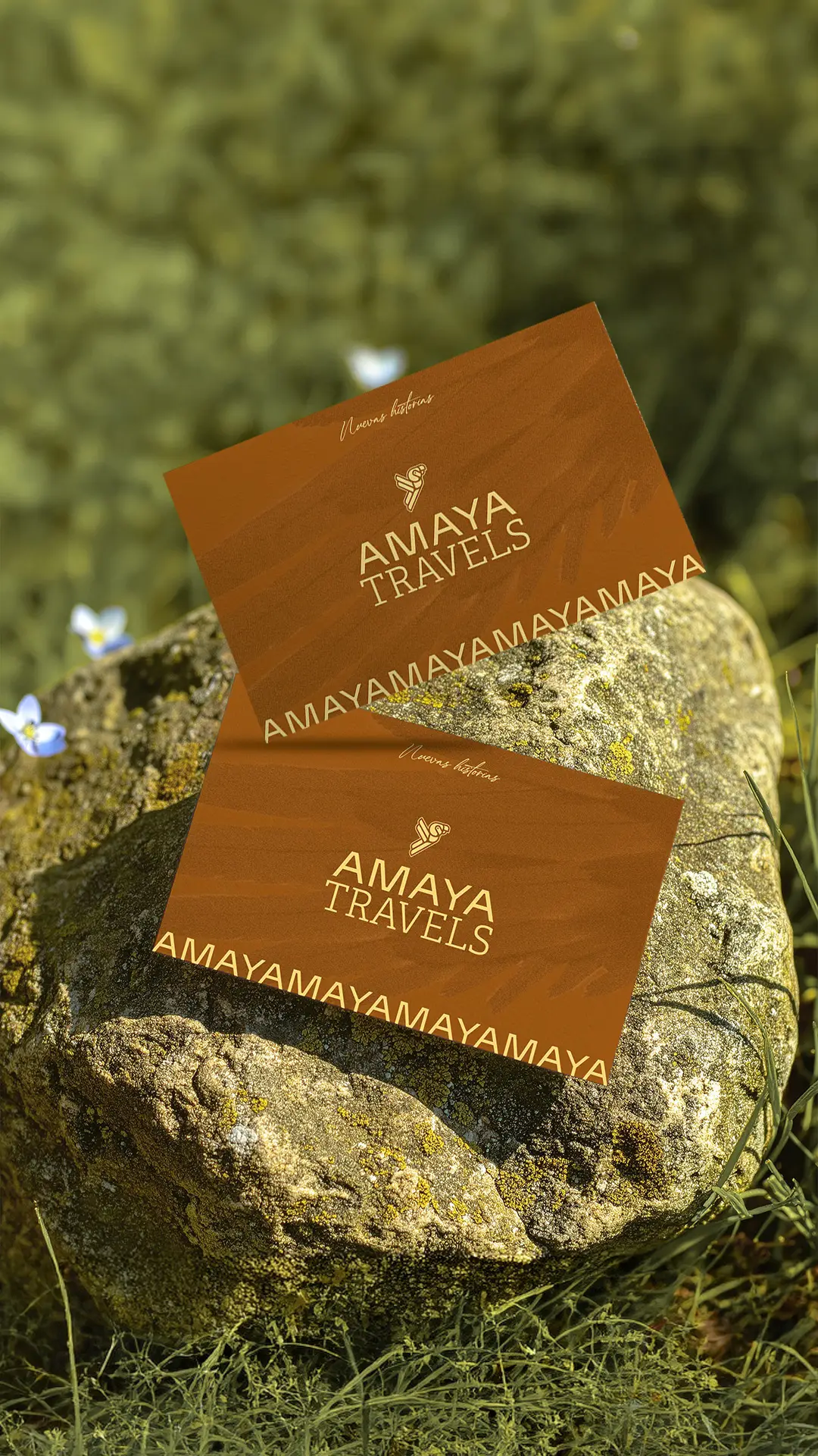 AMAYA 5